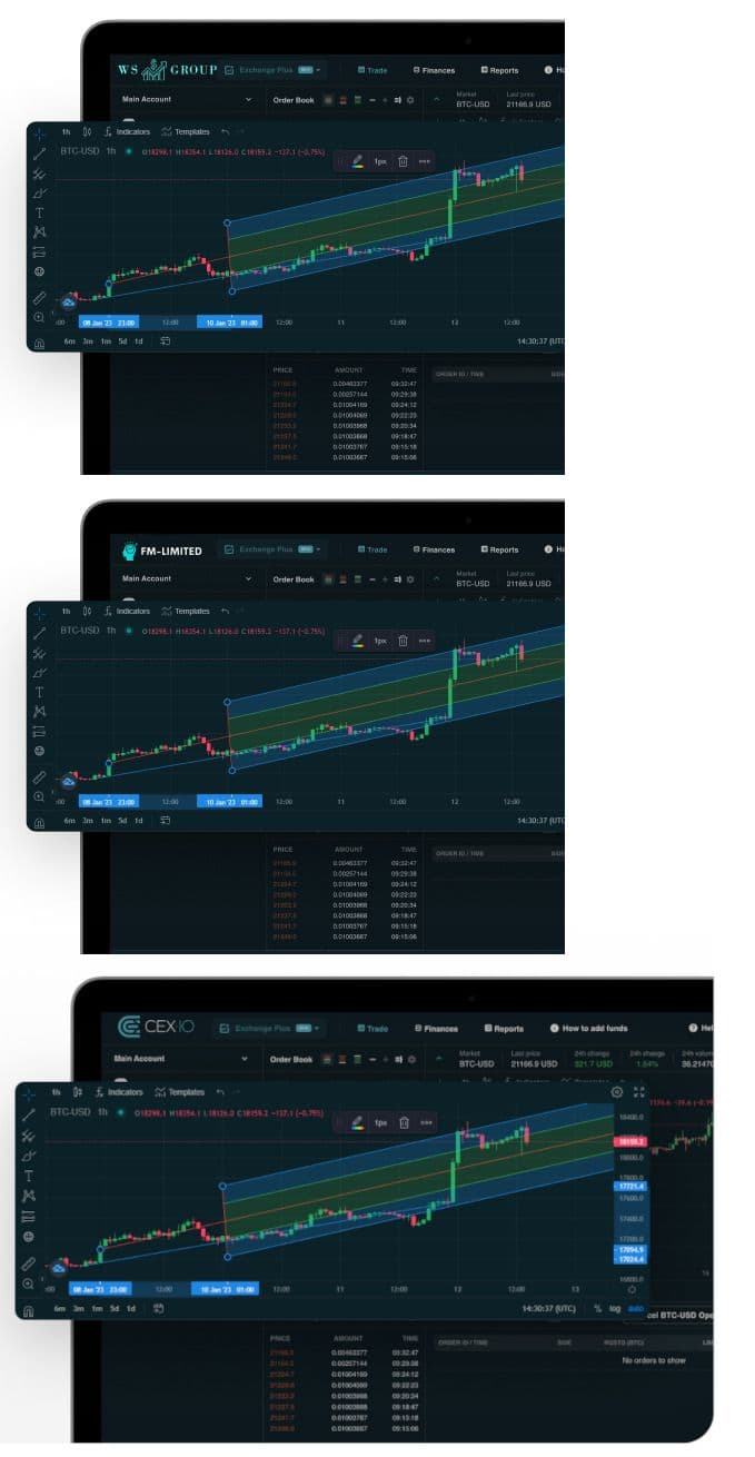 Comparison of the second image on the welcome pages of WS Group (top) and GF Limited (centre) with the original image (bottom) available at the trading platform cex.io. The providers have exchanged the logo in the top left corner.