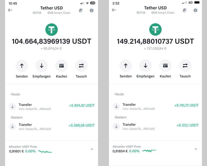 Zwei Bildschirmfotos von Fake-Investoren, die das vermeintliche tägliche Einkommen illustrieren sollen.